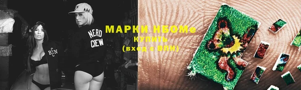 прущие крисы Новозыбков