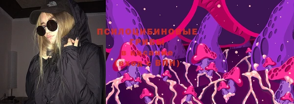 прущие крисы Новозыбков