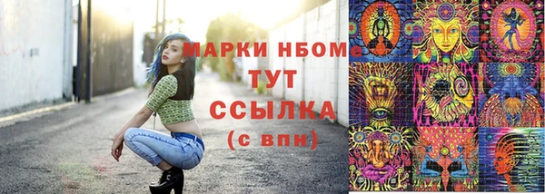 прущие крисы Новозыбков