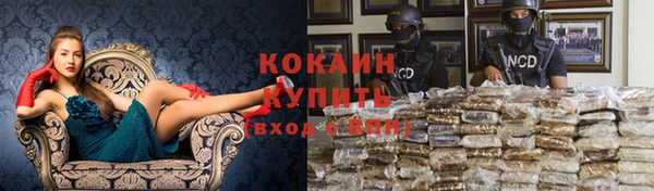 дживик Новокубанск