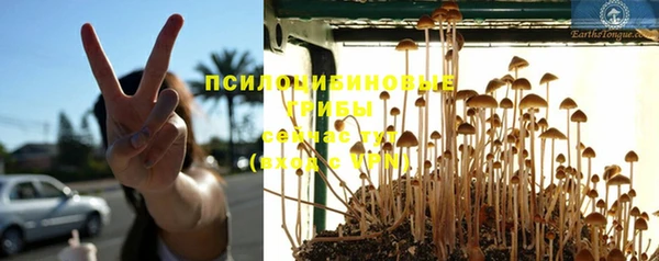 дживик Новокубанск